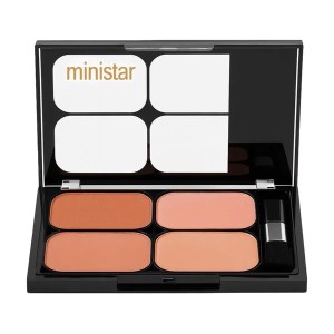 رژگونه پالتی 4 رنگ مین استار