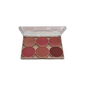 رژگونه 6 رنگQUEEN MINI
