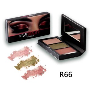 سایه 3 تایی R66 کیس بیوتی 6 گرم