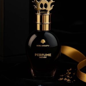 ادکلن مردانه نرو اسولوتو 30 میل پرفیوم فکتوری PERFUME factory  Nero Assoluto
